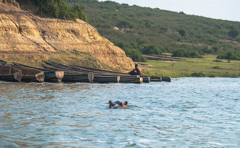 Kazinga Channel Boat Cruise.