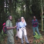 Hiring and using porters for gorilla trekking 