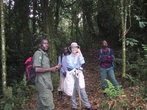 Read more about the article Hiring and using porters for gorilla trekking 