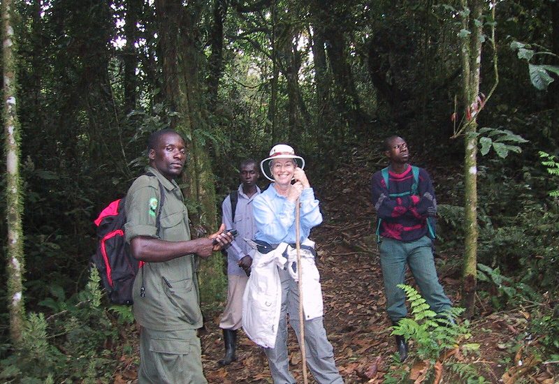 Hiring and using porters for gorilla trekking 