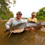 Vundu Catfish