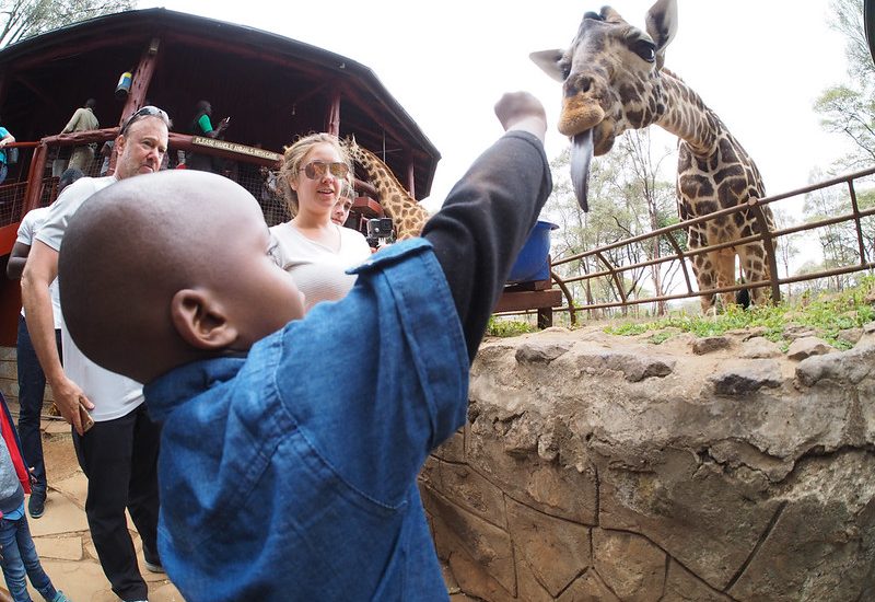 The Nairobi Giraffe Centre