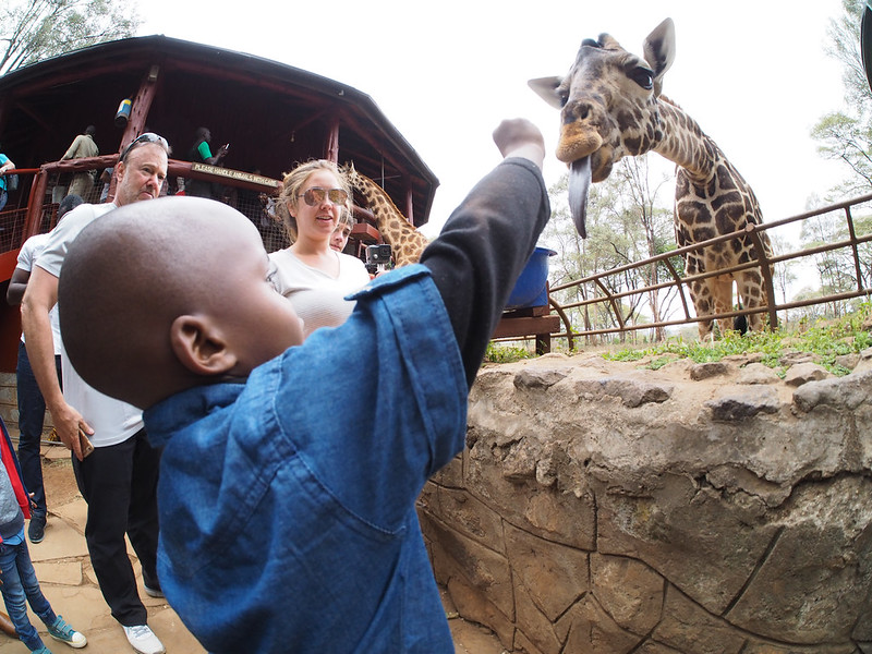 Read more about the article The Nairobi Giraffe Centre