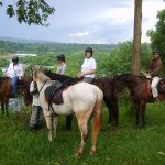 Horse Riding in Jinja