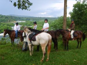 Read more about the article Horse Riding in Jinja