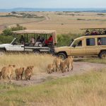 Car rental in Uganda.