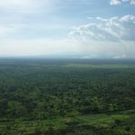 Top 3 national parks to visit while spending your vacation in Uganda