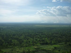 Read more about the article Top 3 national parks to visit while spending your vacation in Uganda