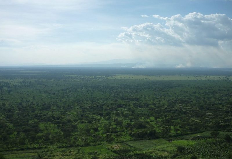 Top 3 national parks to visit while spending your vacation in Uganda