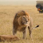 8 Days Rwanda Best Adventure Safari