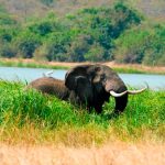 Akagera National Park