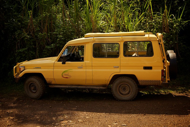 Car rental over public transport.