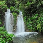 Bizenga river in Bwindi Forest