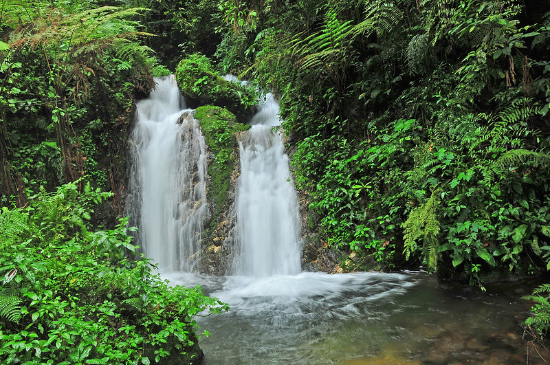 Bizenga River in Bwindi forest