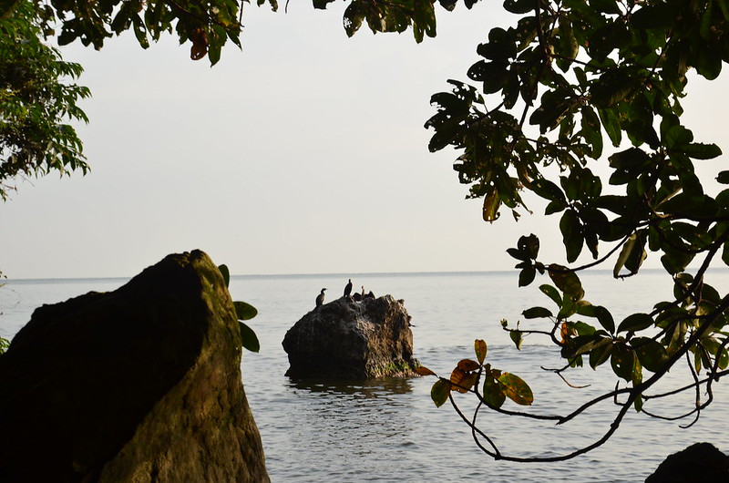 Rubondo Island National Park. 