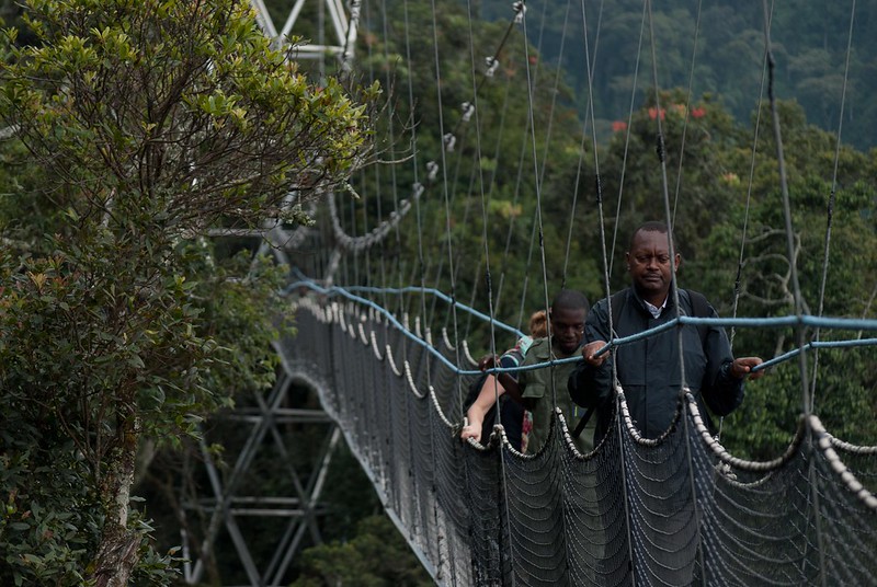 Rwanda Canopy Walk Adventures.