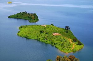 Read more about the article Best Time to visit Rwanda: Travel and Climate guide