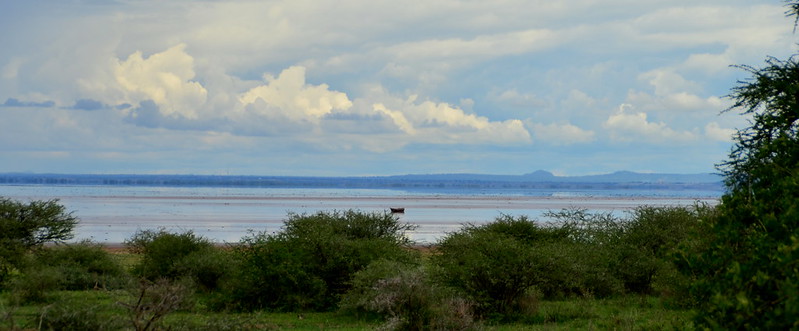 Lake Manyara National park