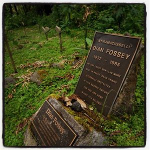 Read more about the article Rwanda Gorilla Trekking & Dian Fossey Grave Hike