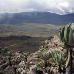 Explore Mount Elgon