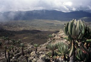 Read more about the article Explore Mount Elgon