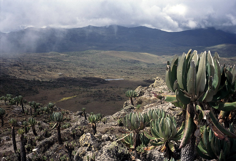 Explore Mount Elgon