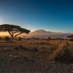 Mount Kilimanjaro National Park