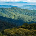 Nyungwe Forest National Park Rwanda