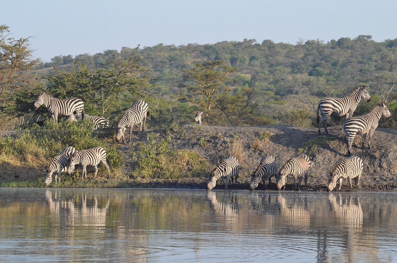 10 things to do on a safari to Lake Mburo National Park.