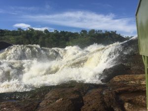 Read more about the article WATERFALL CRUISE – MURCHISON FALLS