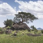 Hiking Adventure and Kidepo Valley Safari