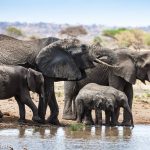 Tarangire National Park