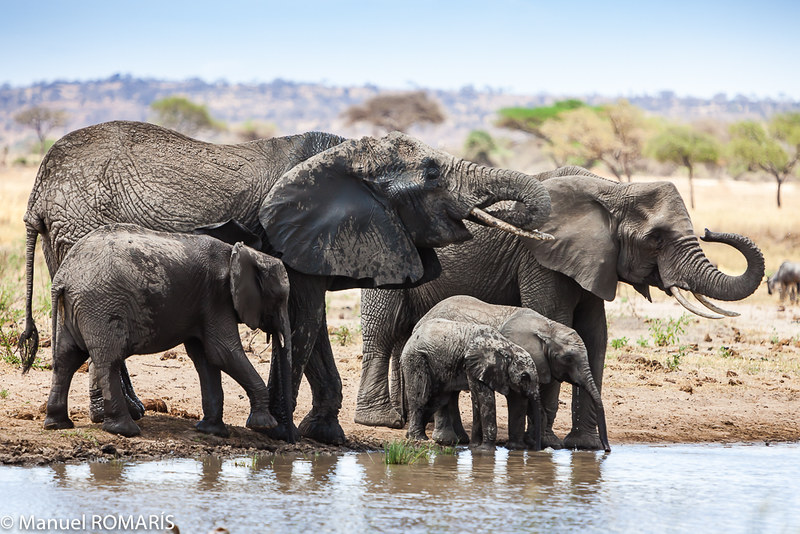 Tarangire National Park