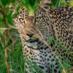 Serengeti National Park