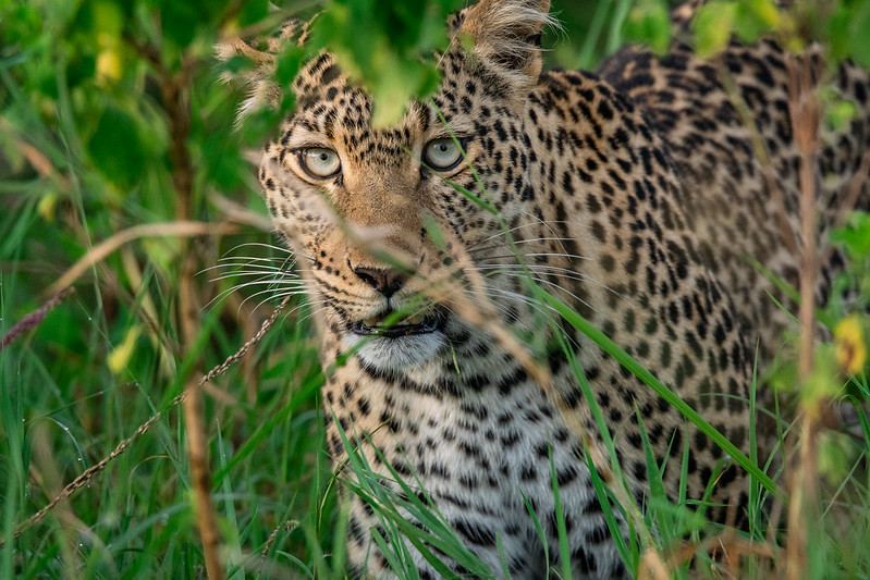 Serengeti National Park