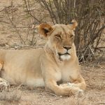 Samburu National Park