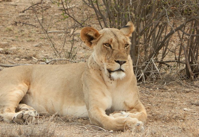 Samburu National Park