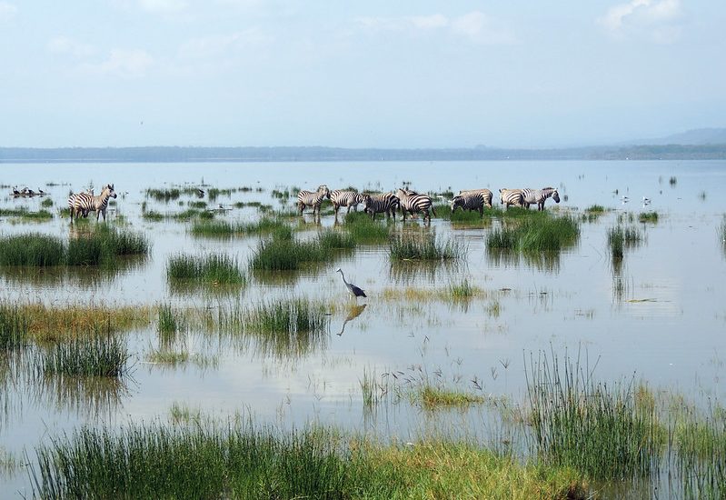 Lake Nakuru National Park