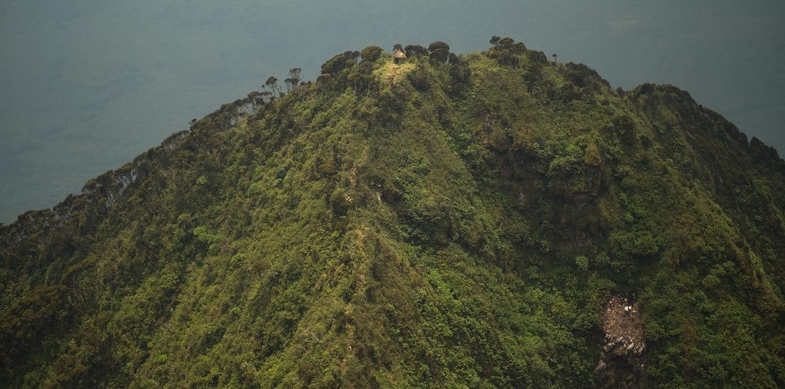 Mountain Hiking in Uganda