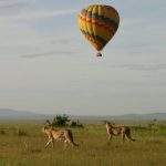 Hot Air Ballooning in Akagera National Park