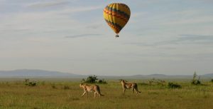 Read more about the article Hot Air Ballooning in Akagera National Park