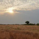 Queen Elizabeth National Park