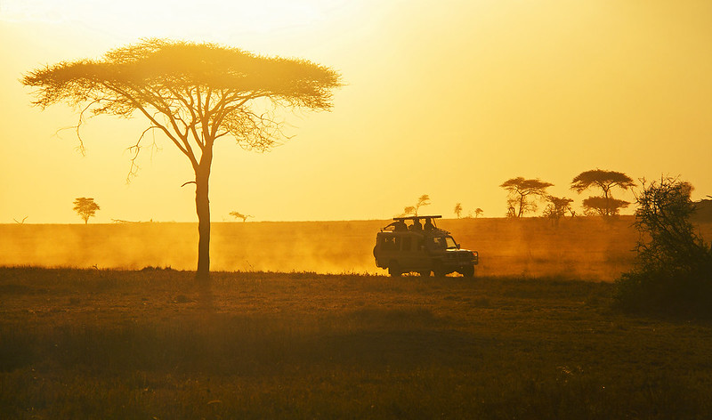 Game Drives and Boat Safaris 