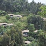 The Best Safari Lodges and Camps in East Africa