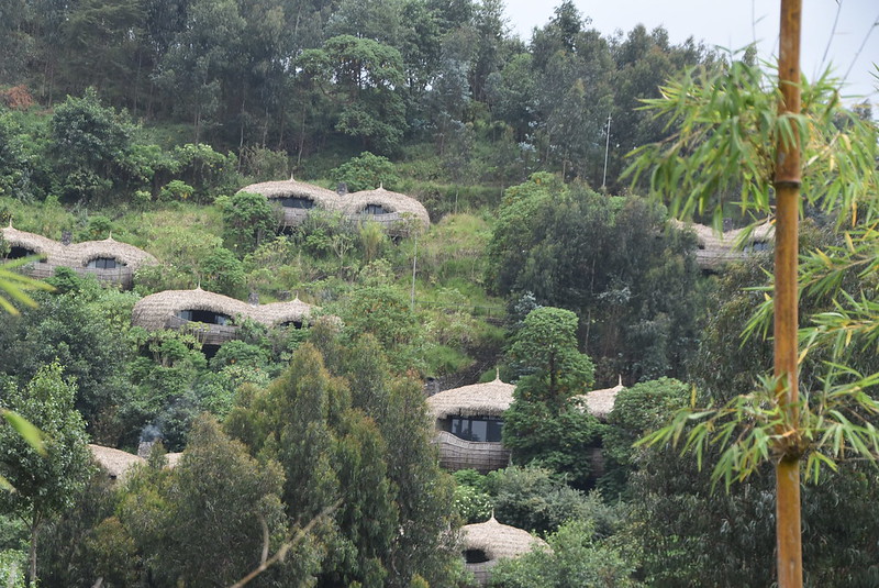 The Best Safari Lodges and Camps in East Africa