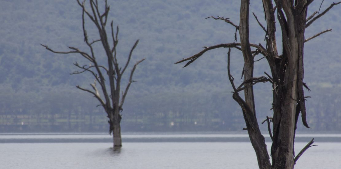 Exploring Lake Nakuru