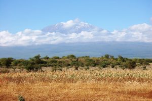 Read more about the article Mount Kilimanjaro