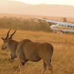 Flying from Serengeti Seronera to Zanzibar