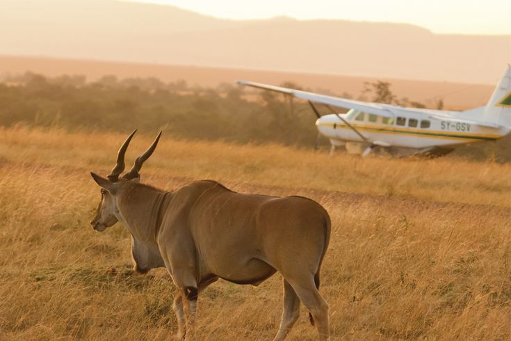 Flying from Serengeti Seronera to Zanzibar