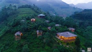 Read more about the article Four Gorillas Lodge